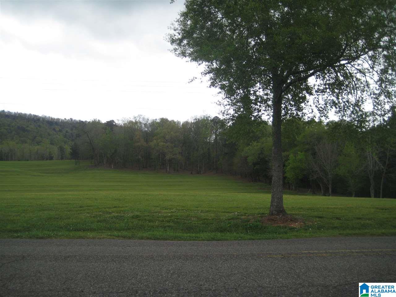 7249 Elliott Lane Southwest, Unit 3 17 Leeds, AL 35094 - Photo 6 of 8