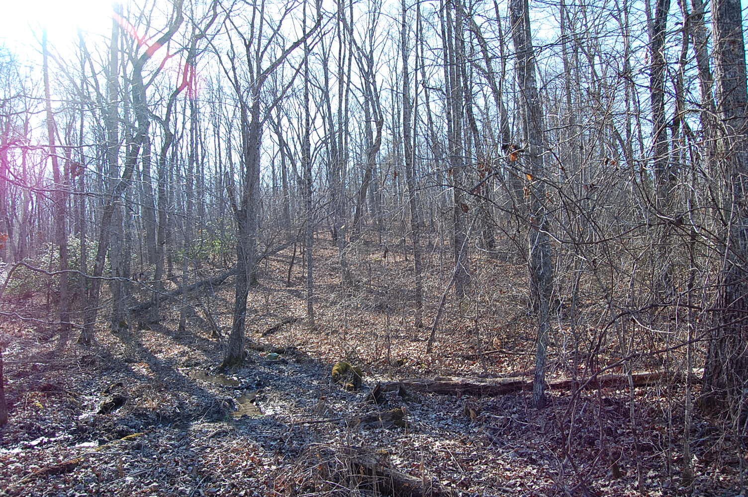 6 Green Forest Road Dunlap, TN 37327 - Photo 12 of 19 Gallery Image 12
