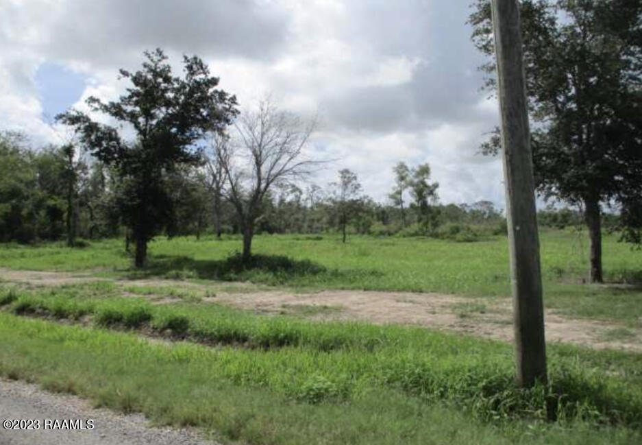 9540 Mouton Road Welsh, LA 70591 - Photo 2 of 2
