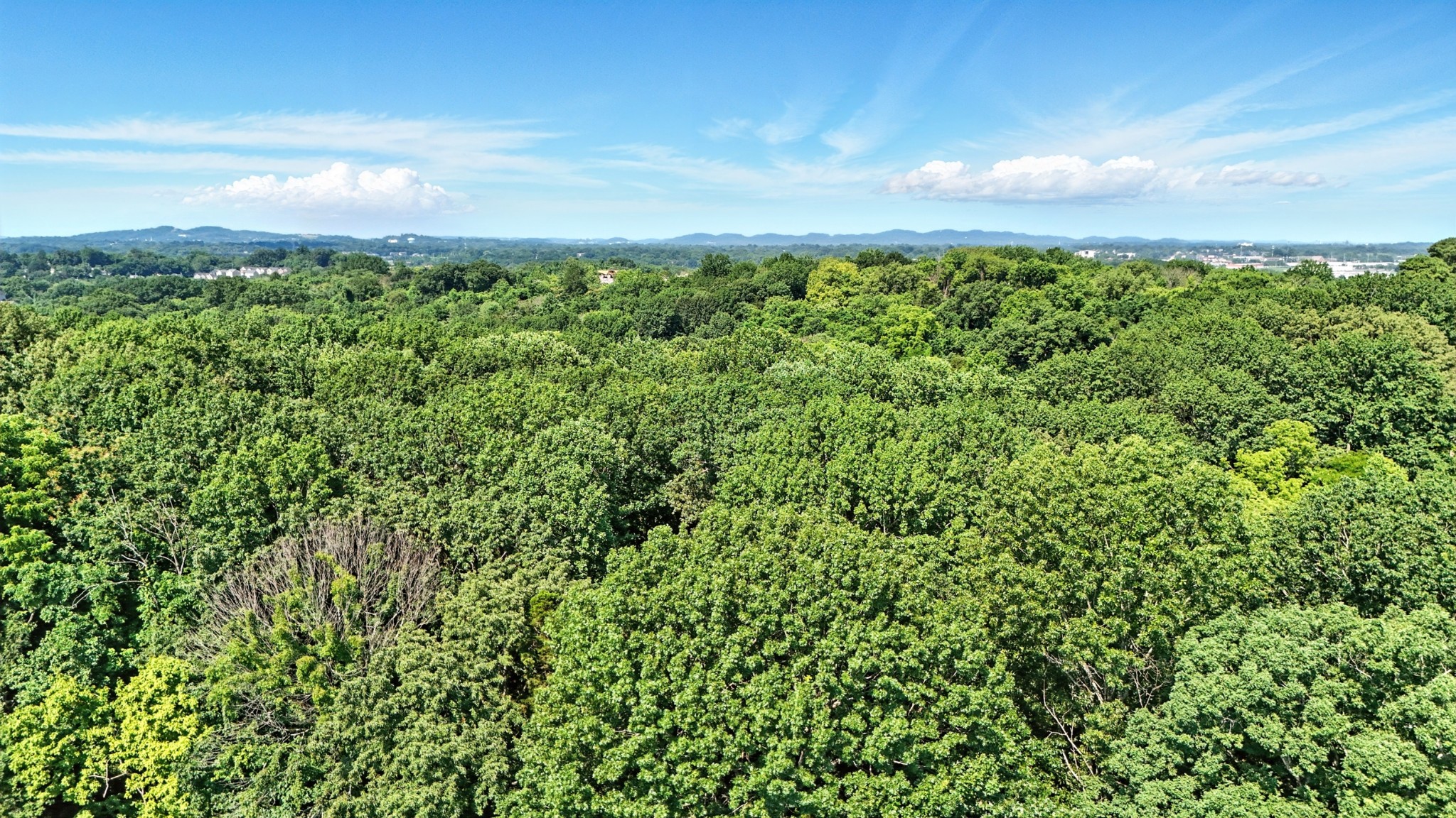 516 Franklin Limestone Road Nashville, TN 37217 - Photo 5 of 29