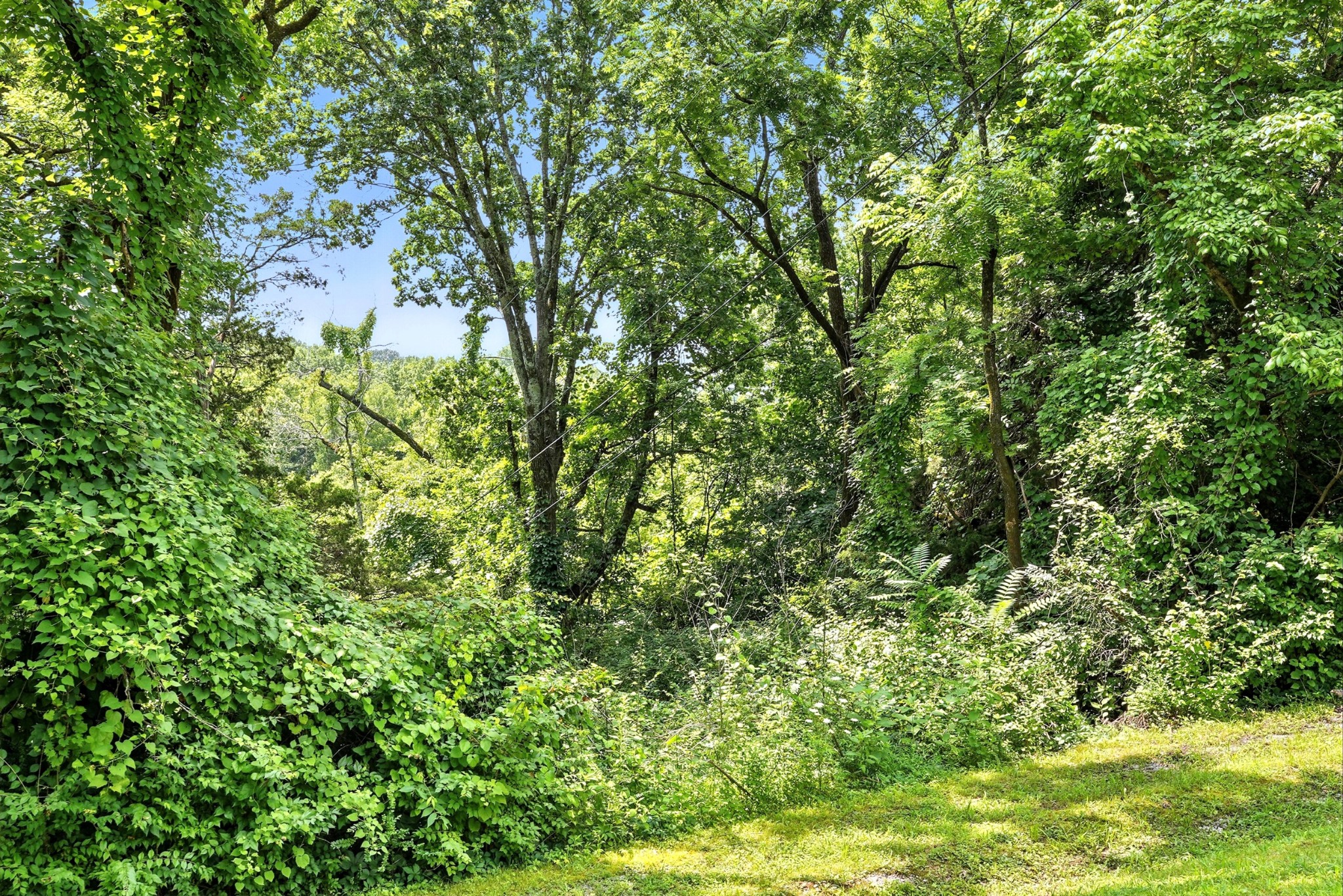 516 Franklin Limestone Road Nashville, TN 37217 - Photo 8 of 29