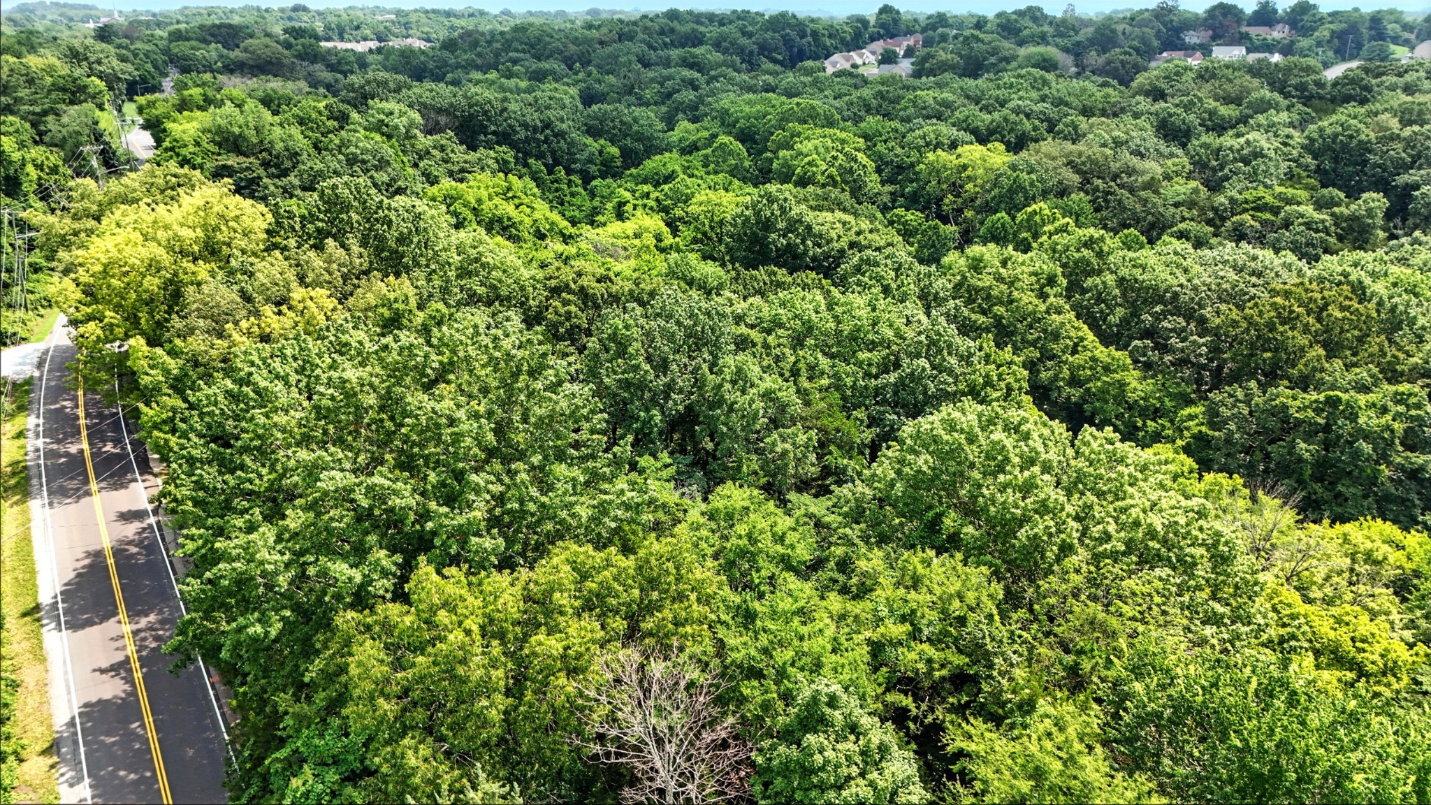 516 Franklin Limestone Road Nashville, TN 37217 - Photo 9 of 29