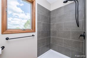 14346 Jerusalem Road Chelsea, MI 48118 - Photo 32 of 65