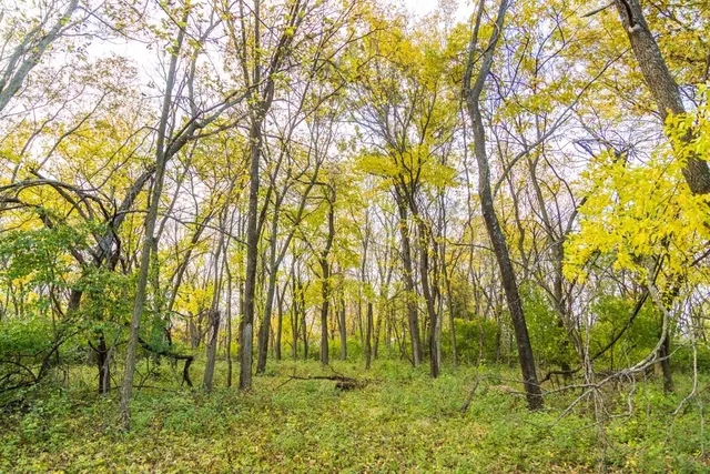 $209,000 | Lot 1 Timber Ridge Drive, Peculiar, MO 64078