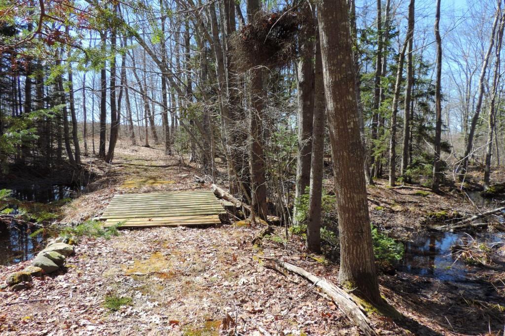 1384 Harpswell Neck Road Harpswell, ME 04079 - Photo 28 of 33 Trail to the back lot by Mitchell field.