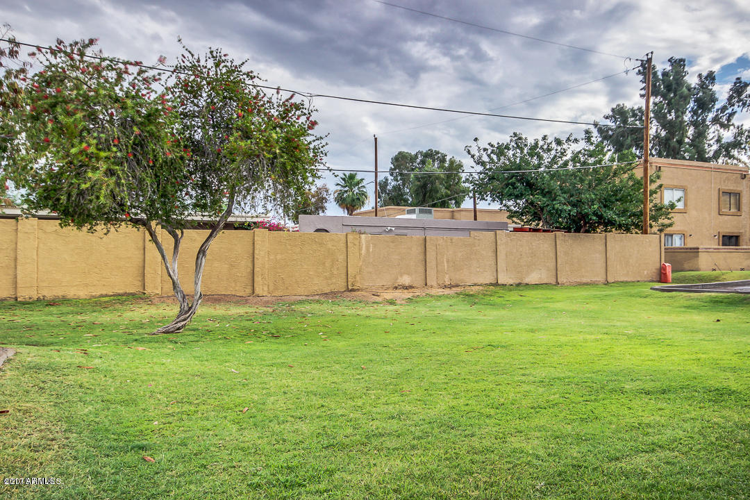 2041 West Bloomfield Road, Unit 3 Phoenix, AZ 85029 - Photo 7 of 15 yard