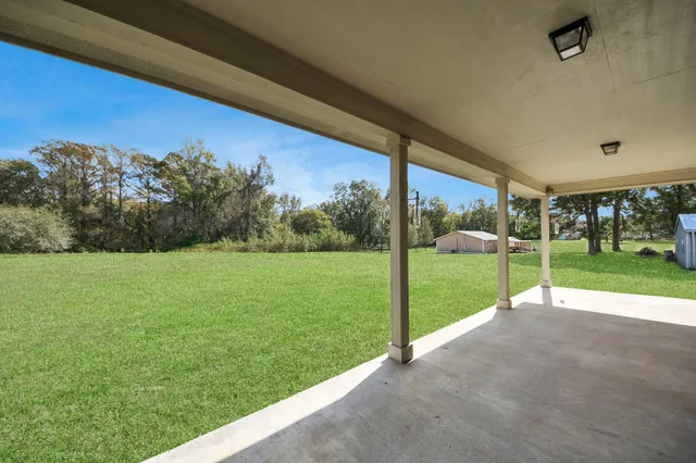 a view of a park with large trees