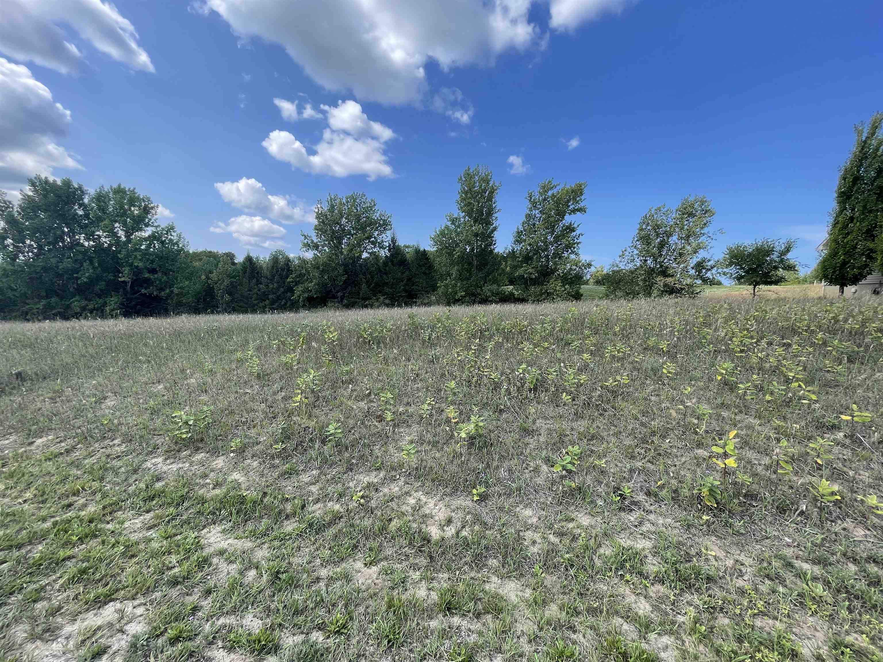 Lot 20 South Cedarview Cedar, MI 49621 - Photo 6 of 10 1915051-5.JPG