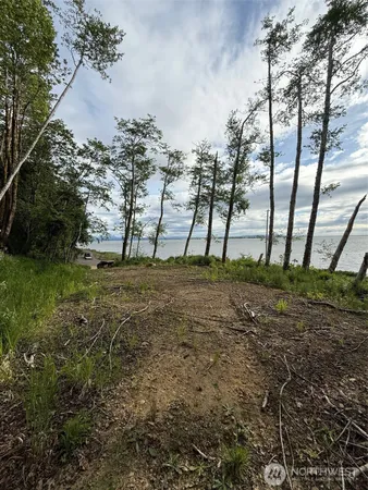 a view of outdoor space with trees