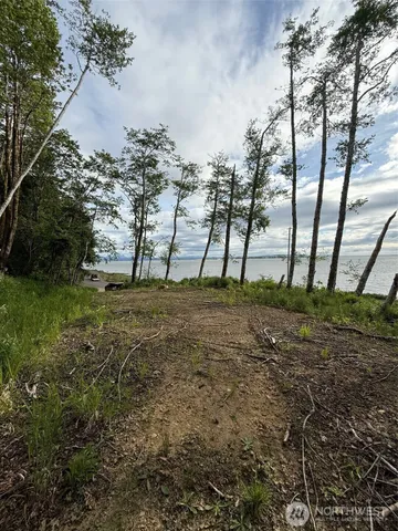 a view of outdoor space with trees