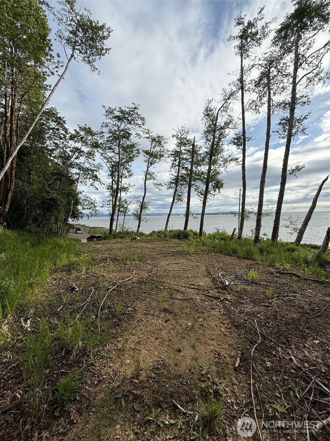 0 Altoona-Pillar Rock Road Rosburg, WA 98643 - Photo 1 of 7 a view of outdoor space with trees