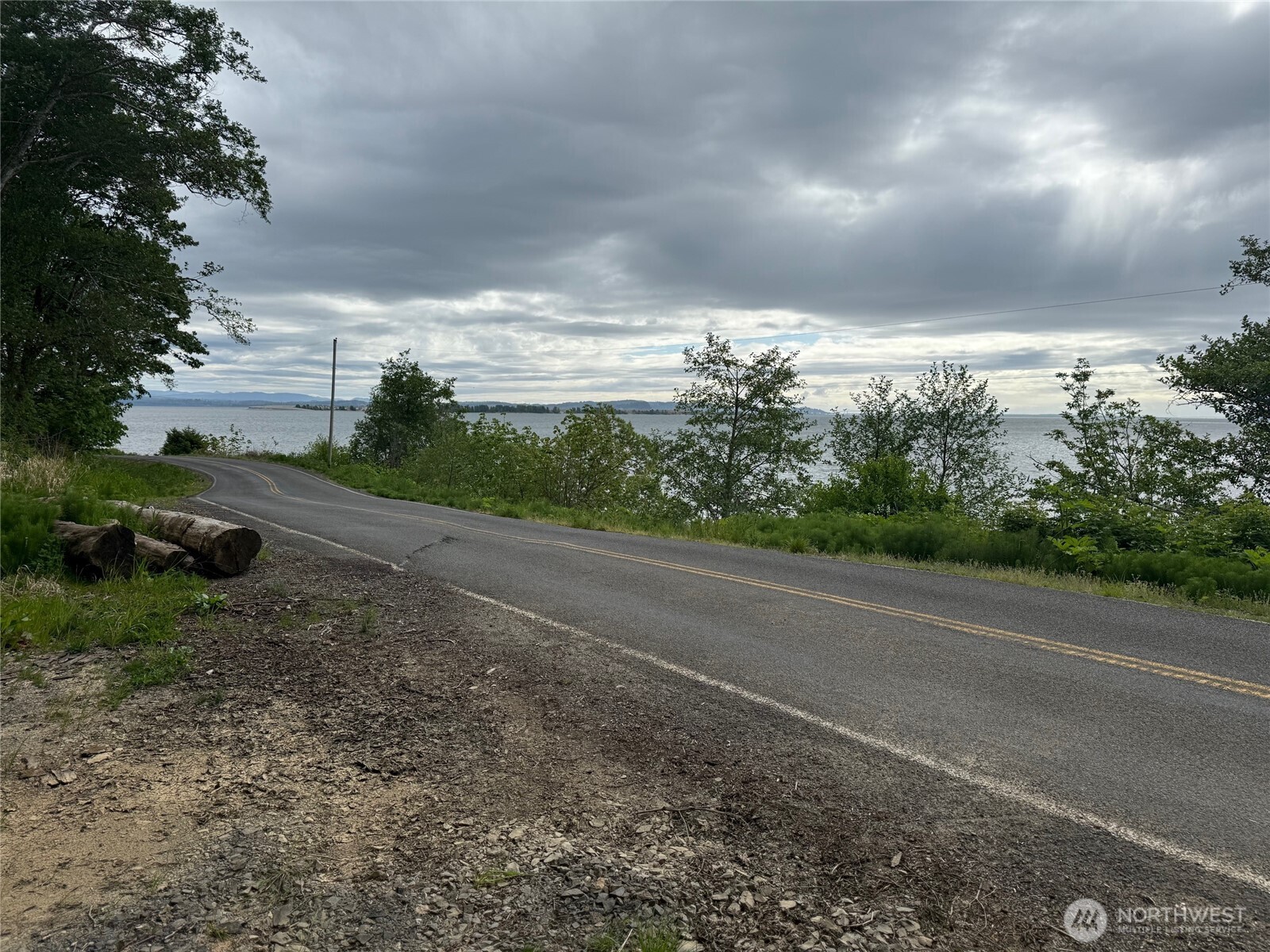 0 Altoona-Pillar Rock Road Rosburg, WA 98643 - Photo 2 of 7 a view of a yard with large trees