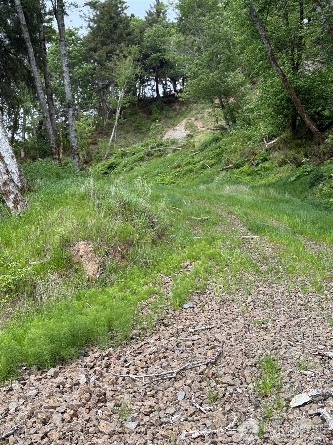 0 Altoona-Pillar Rock Road Rosburg, WA 98643 - Photo 3 of 7 a backyard of a house with lots of green space