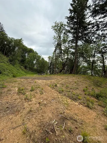 a view of a yard with trees