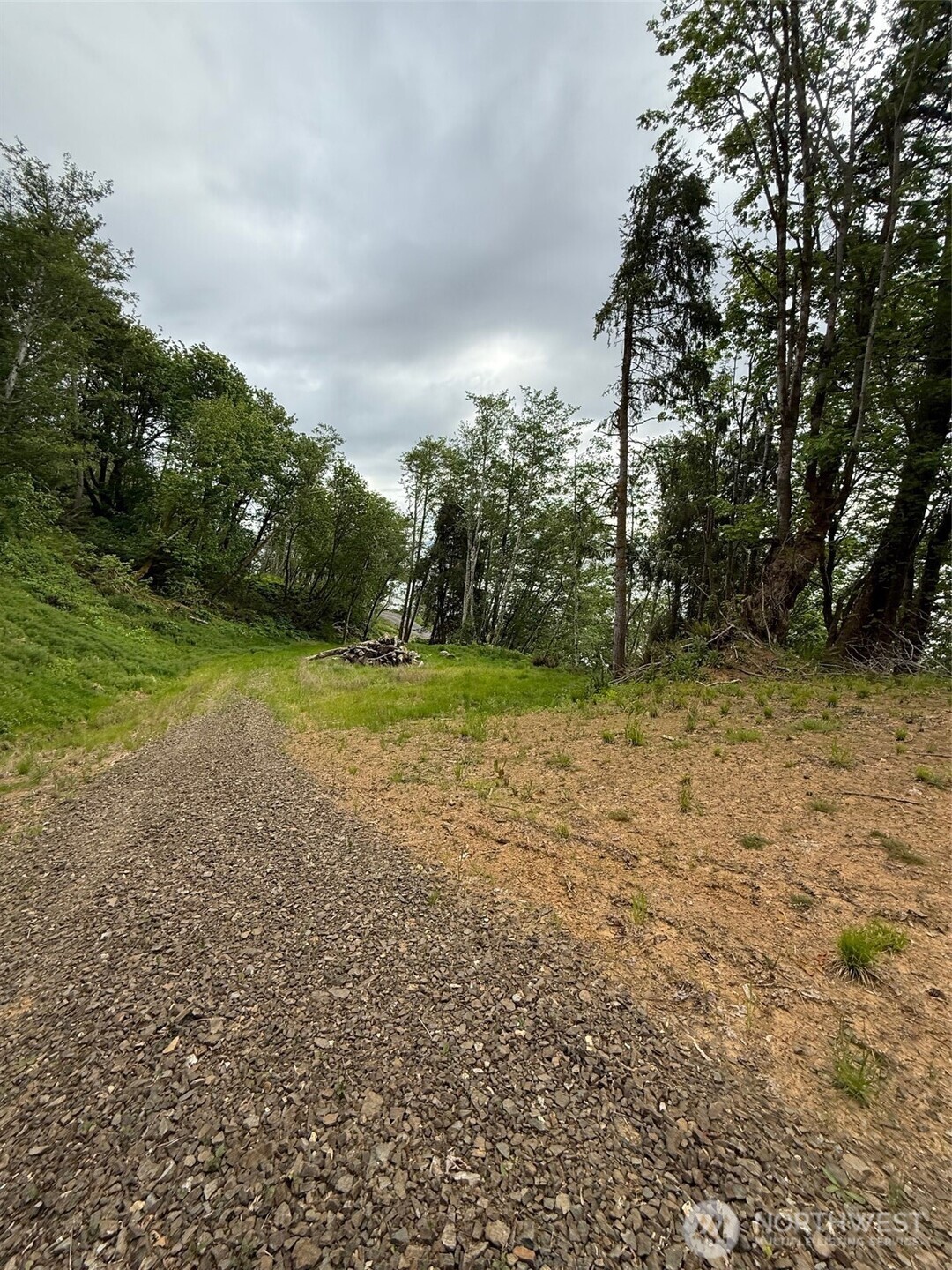 0 Altoona-Pillar Rock Road Rosburg, WA 98643 - Photo 5 of 7 a view of a yard