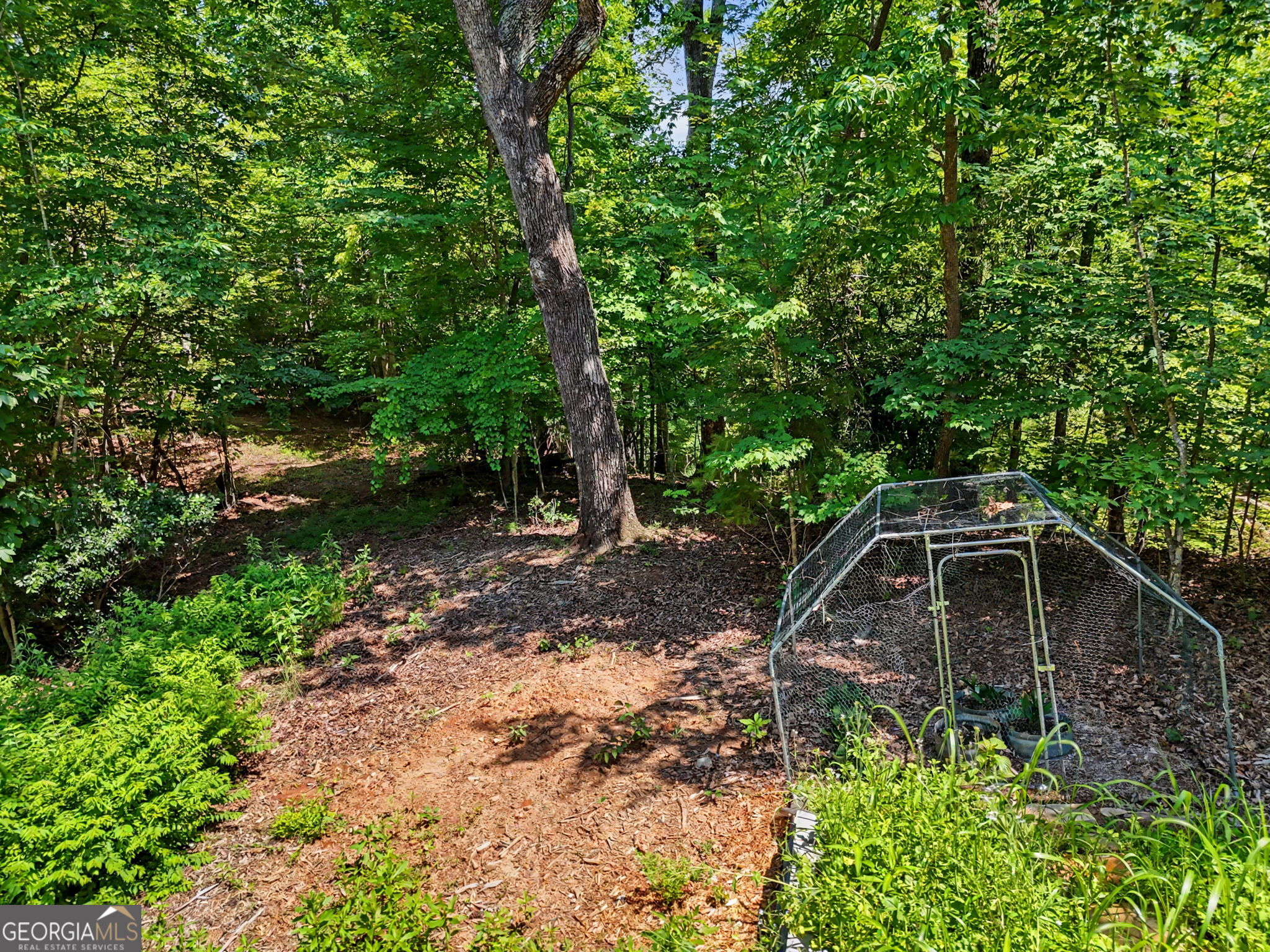 1405 Adair Mill Road Cleveland, GA 30528 - Photo 43 of 58