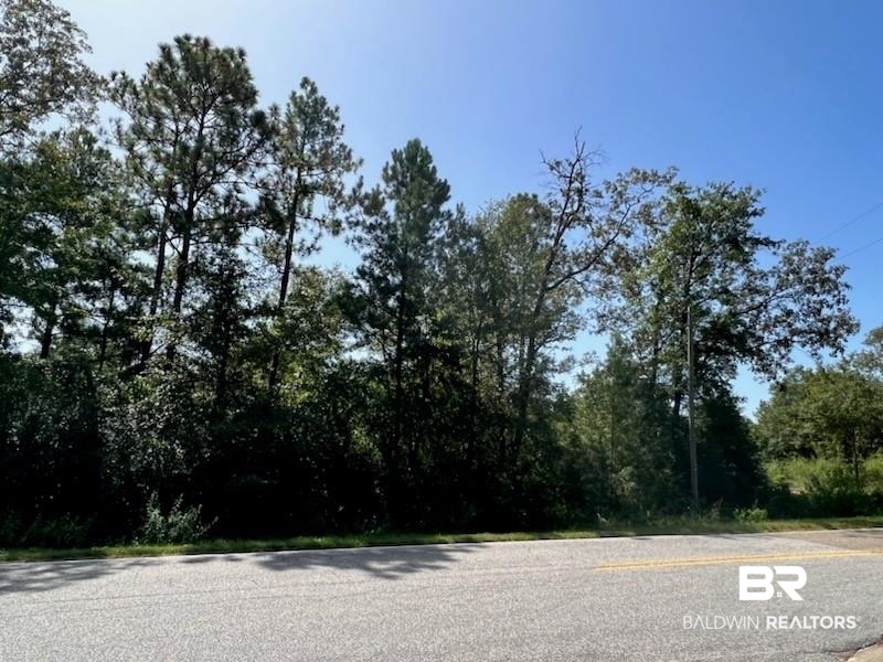 0 Lafitte Road Saraland, AL 36571 - Photo 3 of 3 View of road