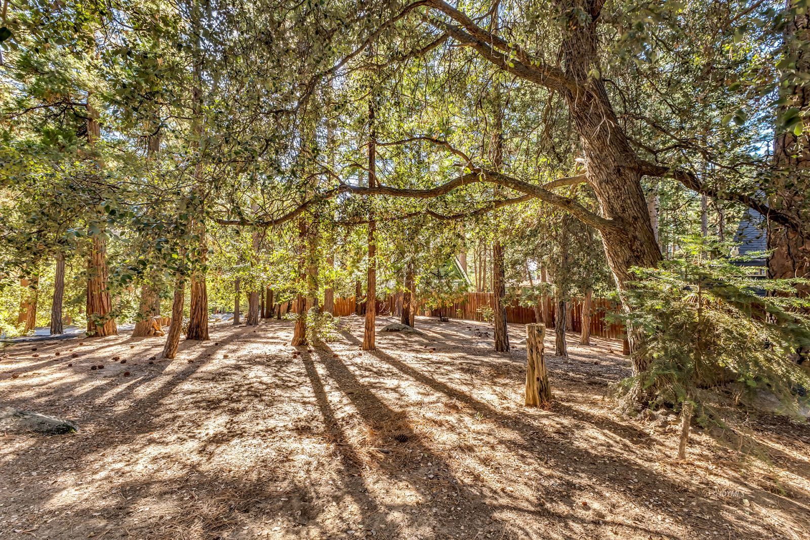 52402 Pine Ridge Road Idyllwild, CA 92549 - Photo 65 of 74 Untitled