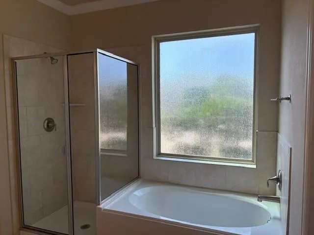 $3,200 | 171 Chamberlain Drive, Fate, TX 75189