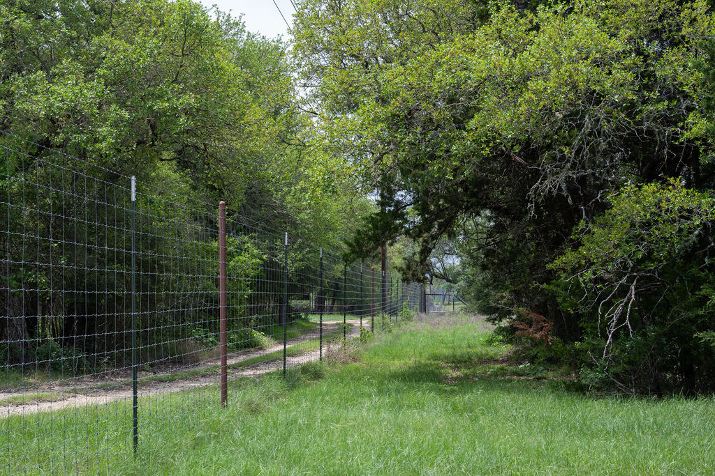 426 Mill Run New Braunfels, TX 78132 - Photo 22 of 40 a view of a yard with a tree