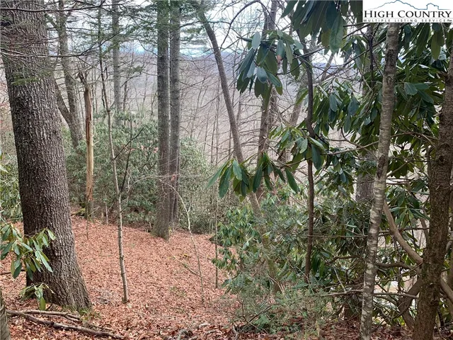 $25,000 | Vista Lane, Boone, NC 28607