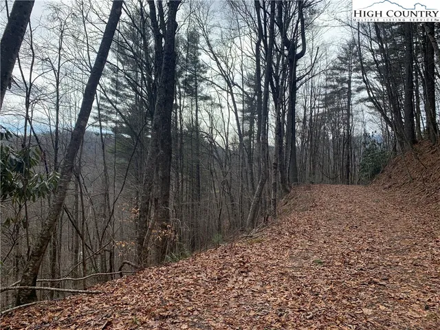 $25,000 | Vista Lane, Boone, NC 28607