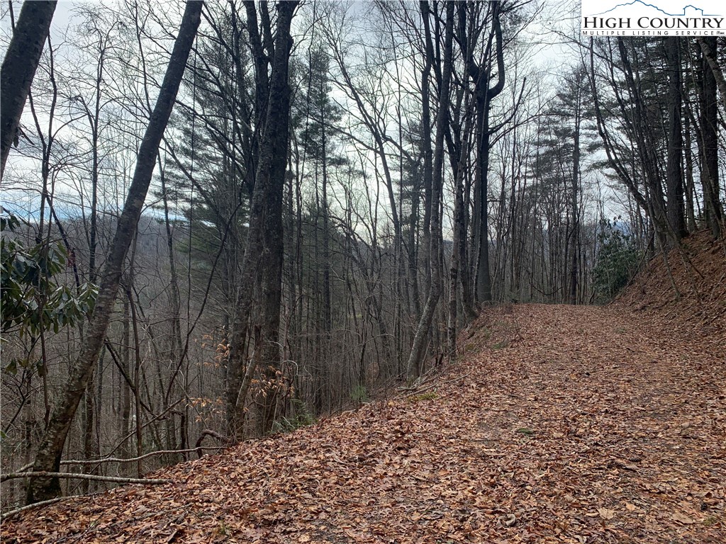 Vista Lane Boone, NC 28607 - Photo 4 of 11