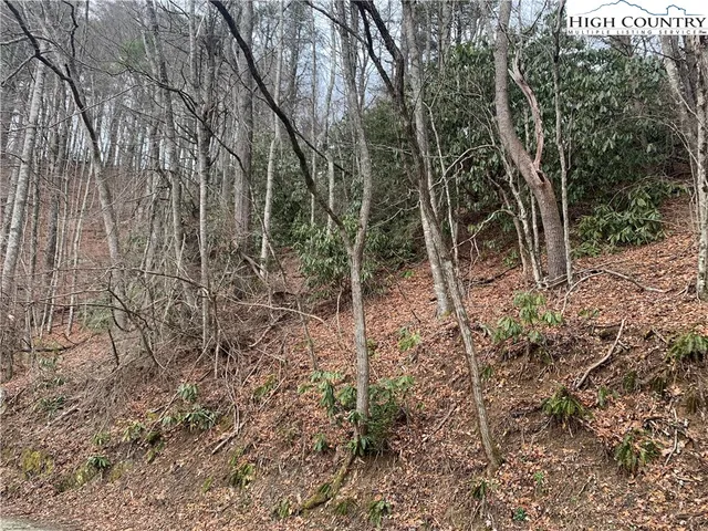 $25,000 | Vista Lane, Boone, NC 28607