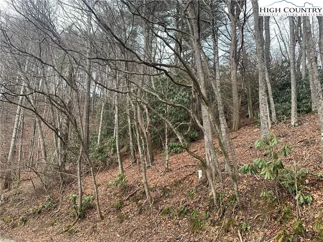 $25,000 | Vista Lane, Boone, NC 28607