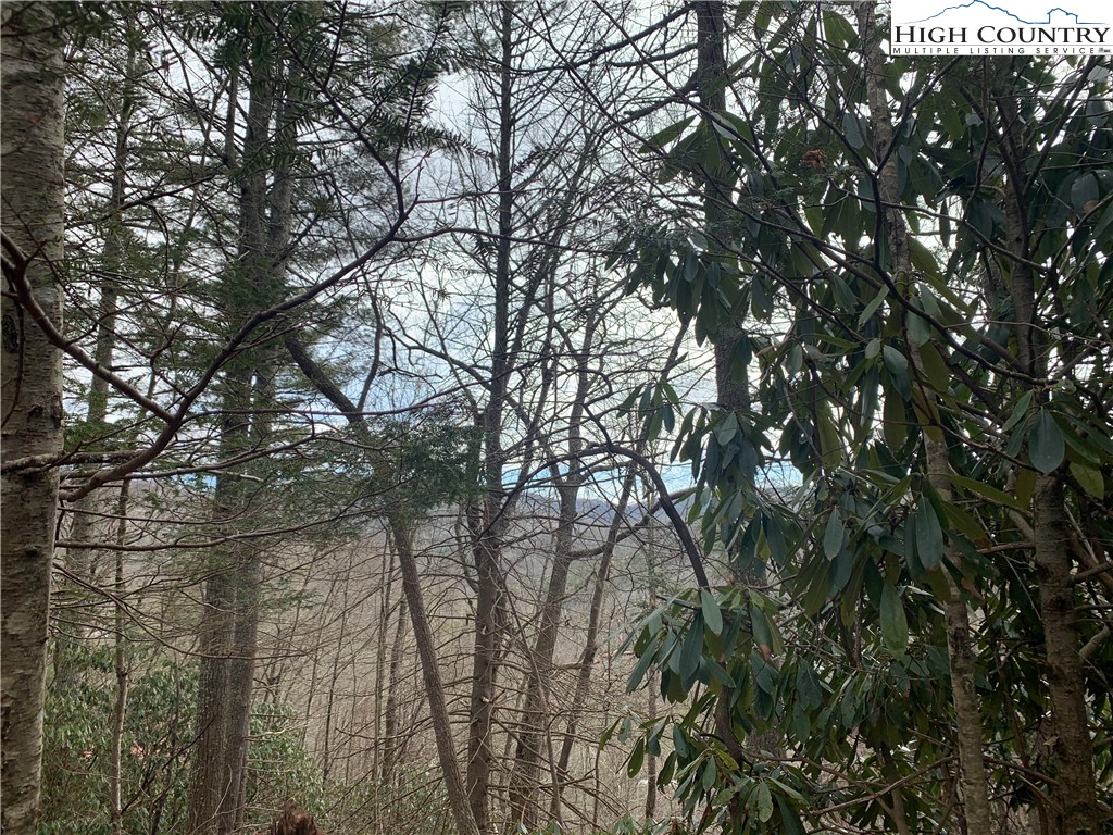 Vista Lane Boone, NC 28607 - Photo 10 of 11