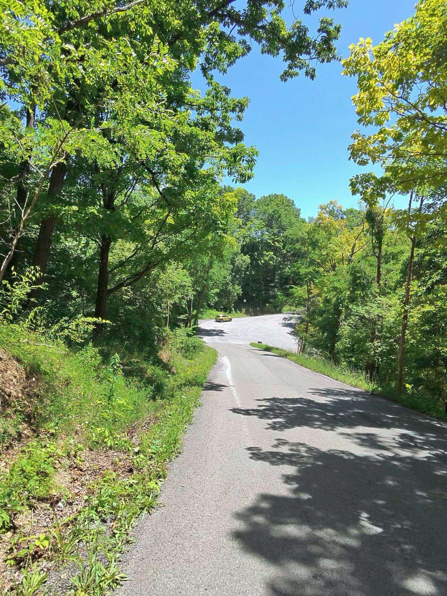 Tbd Osborne Mountain Road Raven, VA 24639 - Photo 21 of 27 Gallery Image 21