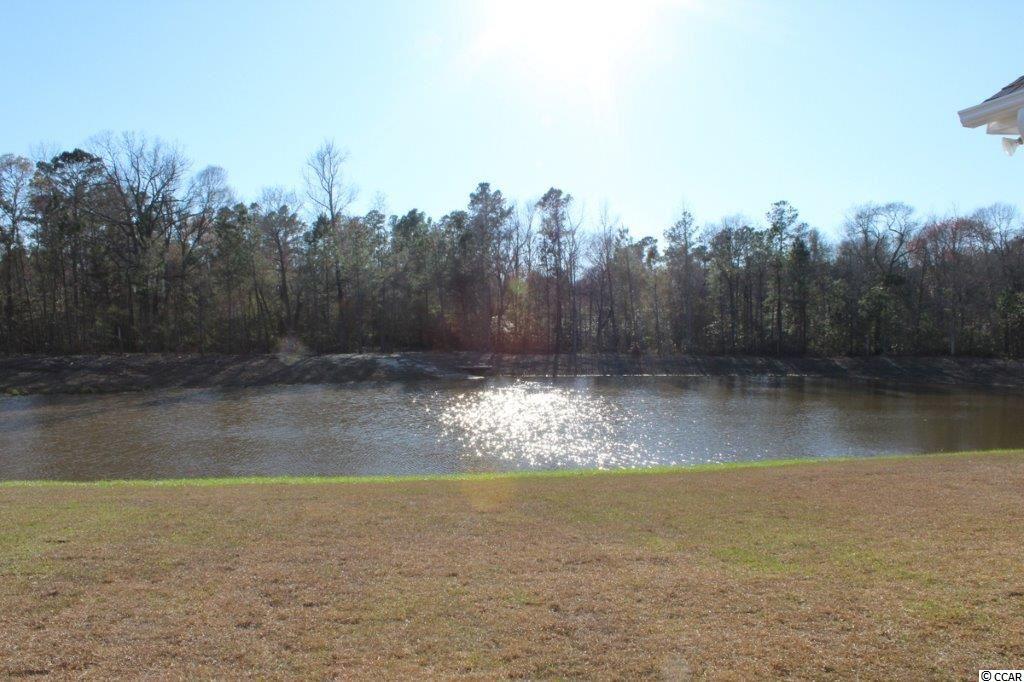525 Irees Way Longs, SC 29568 - Photo 19 of 25 Gallery Image 19