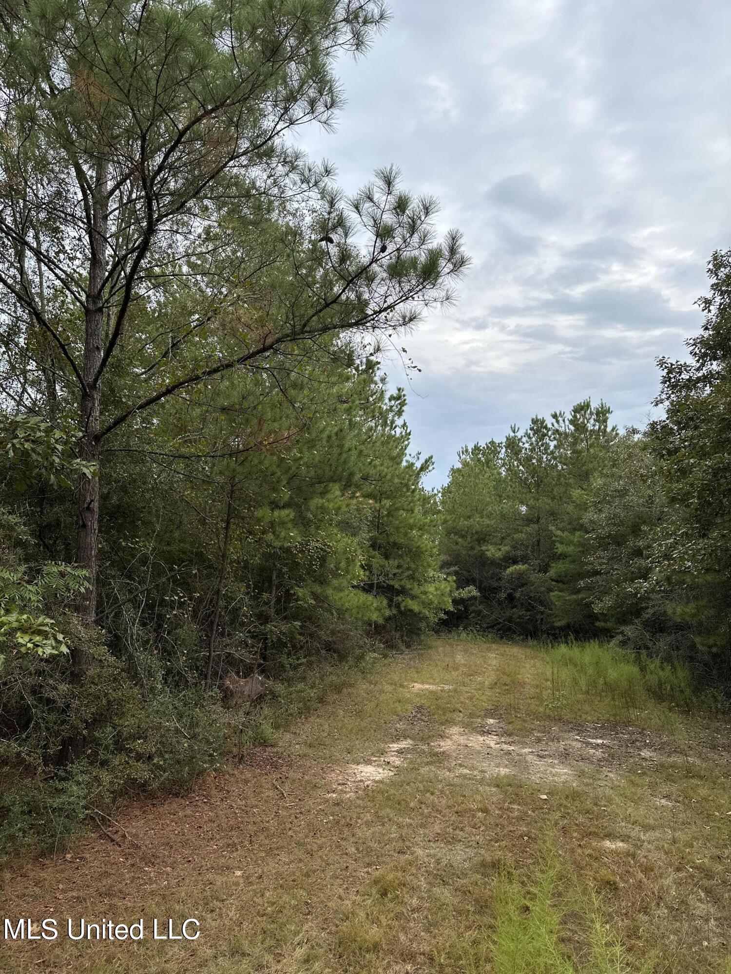 Hundred Acre Road Road Neely, MS 39461 - Photo 8 of 8 0905BB24-1A2A-4941-9BF8-A3CE1A55C500