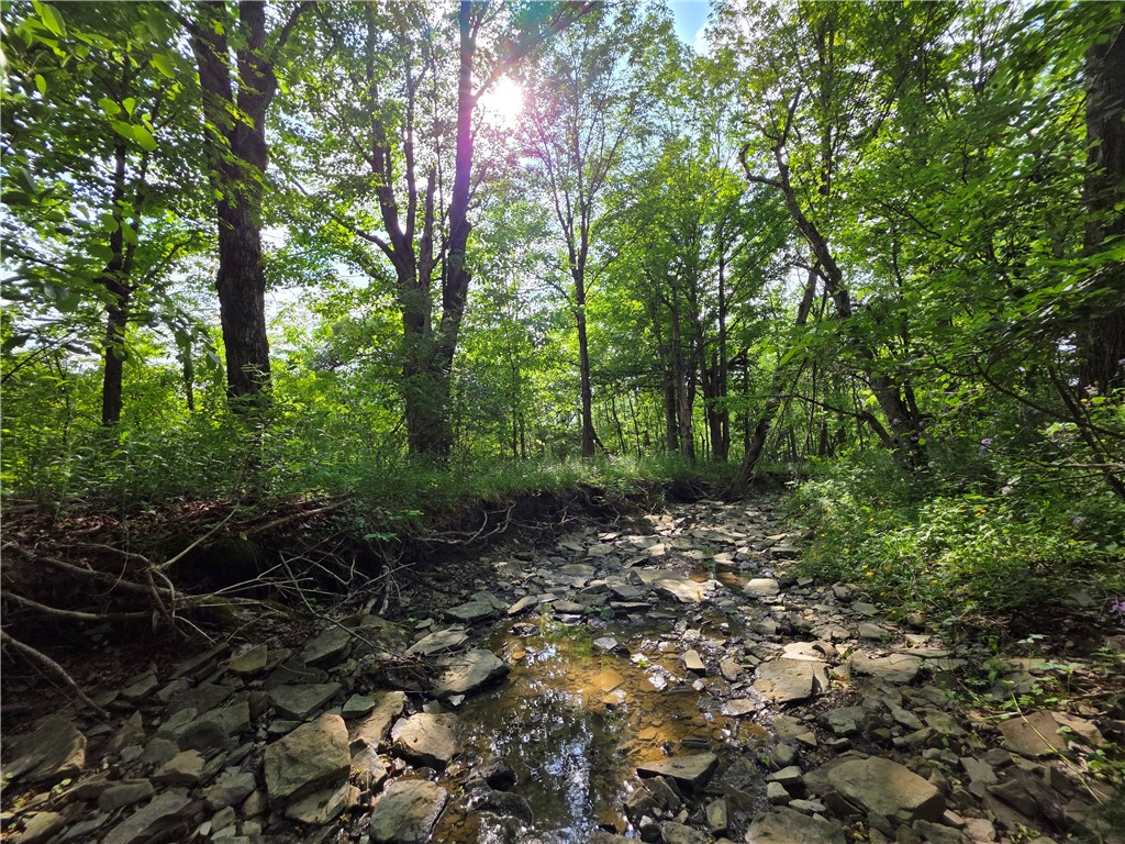 Potter Road Greenwood, NY 14839 - Photo 15 of 23