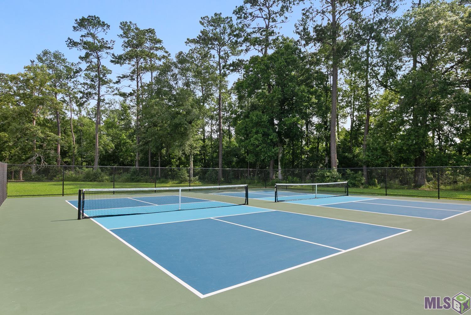 23815 Monarch Point Springfield, LA 70462 - Photo 22 of 24 Pickelball Court
