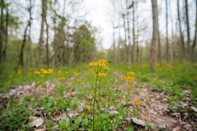 $1,475,000 | 0 North County Road 600 East, Bainbridge, IN 46105