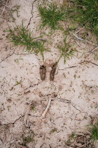 $1,475,000 | 0 North County Road 600 East, Bainbridge, IN 46105