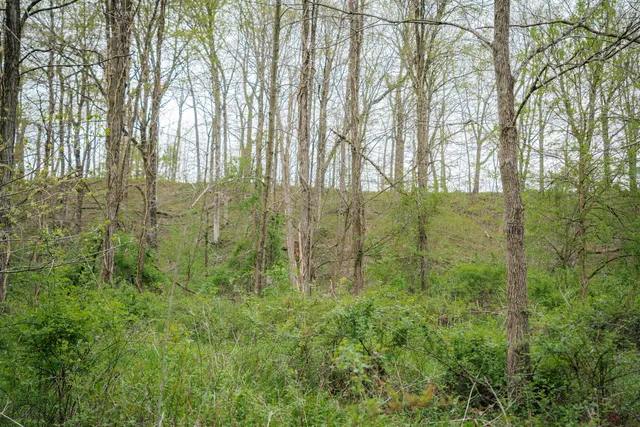 $1,475,000 | 0 North County Road 600 East, Bainbridge, IN 46105