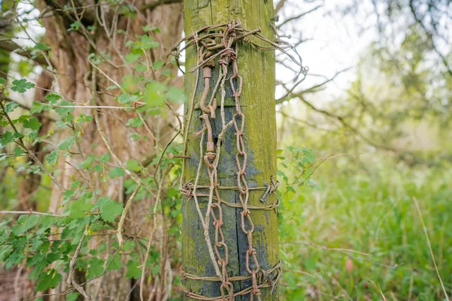 $1,475,000 | 0 North County Road 600 East, Bainbridge, IN 46105