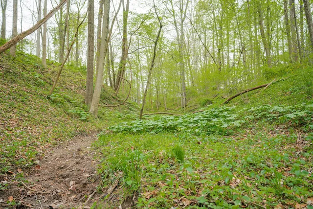 $1,475,000 | 0 North County Road 600 East, Bainbridge, IN 46105