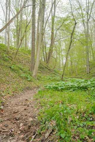 $1,475,000 | 0 North County Road 600 East, Bainbridge, IN 46105