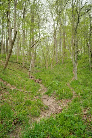 $1,475,000 | 0 North County Road 600 East, Bainbridge, IN 46105