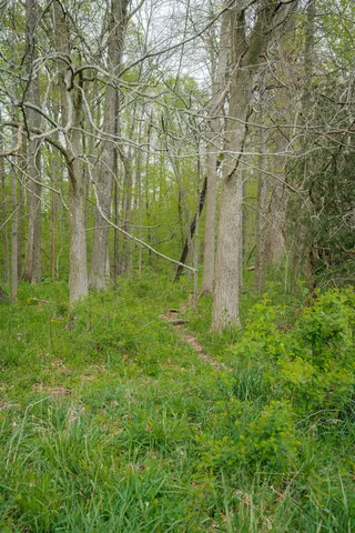 $1,475,000 | 0 North County Road 600 East, Bainbridge, IN 46105