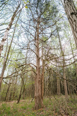 $1,475,000 | 0 North County Road 600 East, Bainbridge, IN 46105