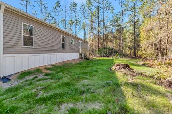 a view of a backyard with plants and large trees