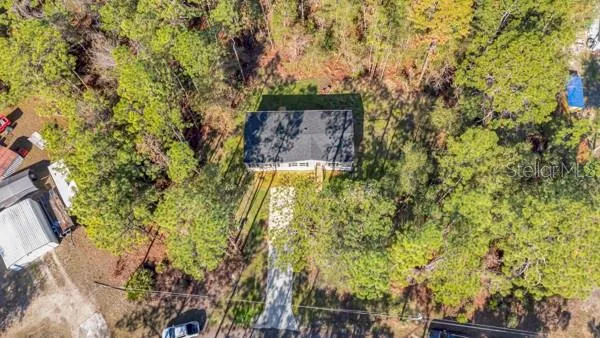 view of a yard with plants and trees