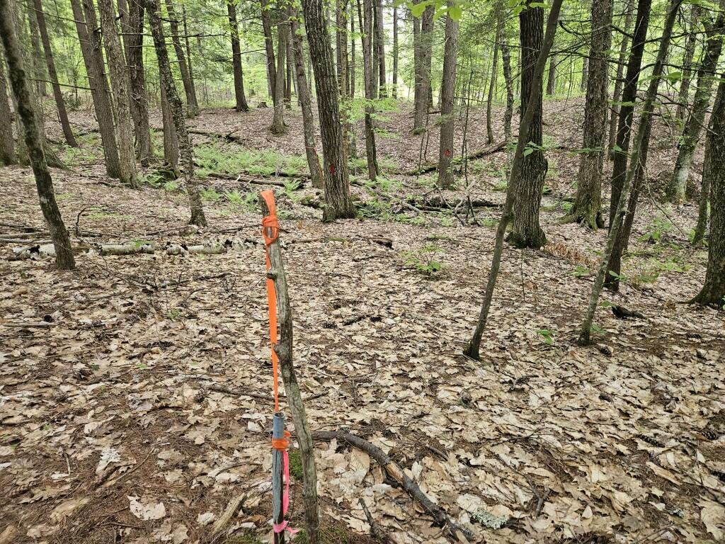 M10-l44 Mountain View Road Fryeburg, ME 04037 - Photo 31 of 36