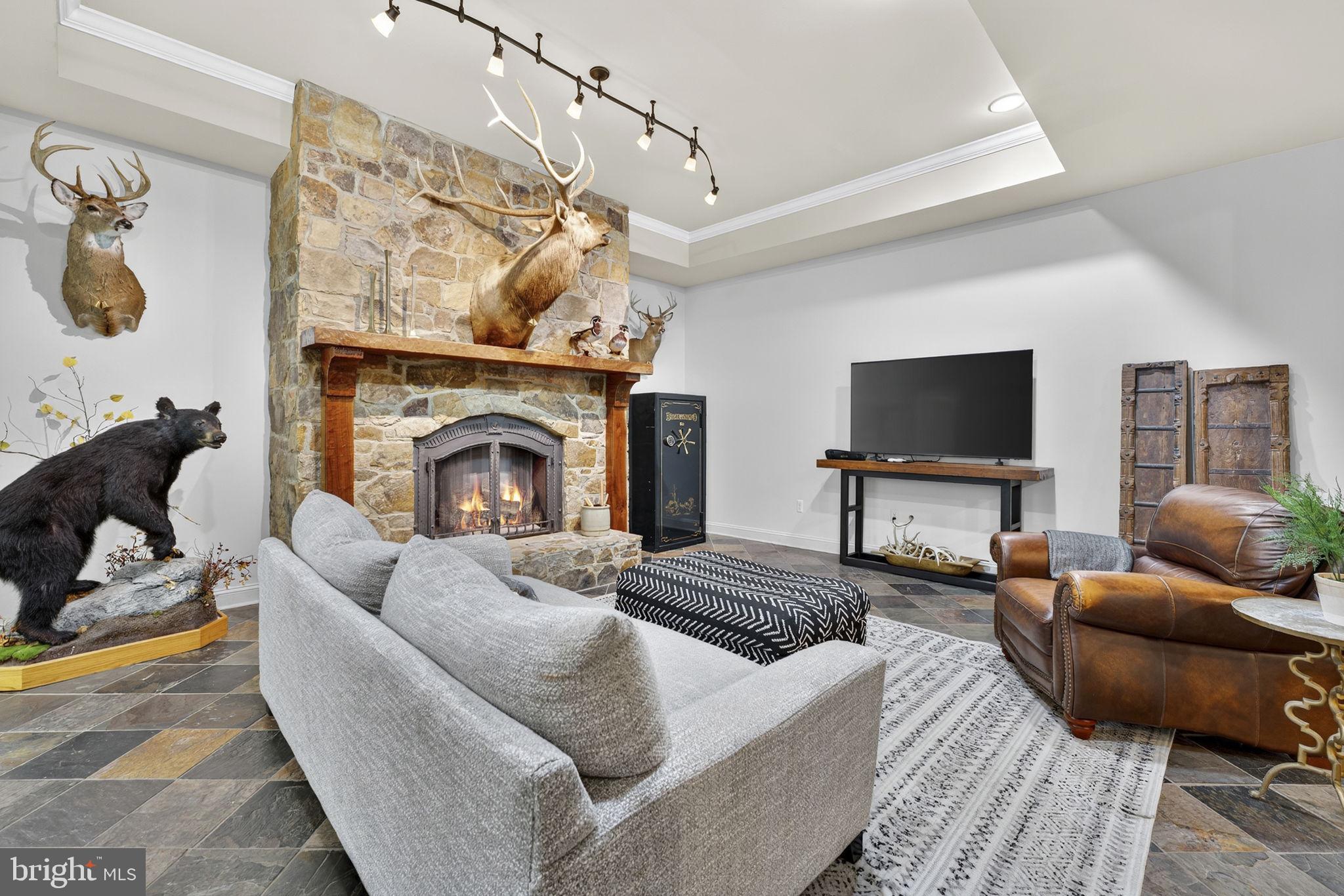 9533 Howellsville Road Boyce, VA 22620 - Photo 35 of 65 Stone fireplace is perfect in the lower-level