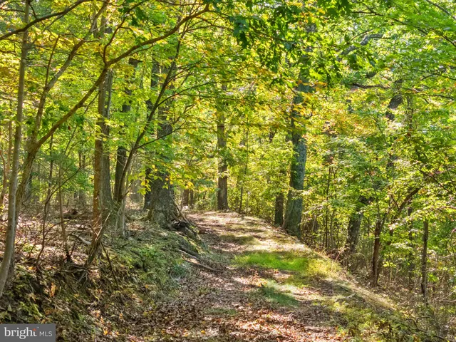 $3,500,000 | 9533 Howellsville Road, Boyce, VA 22620