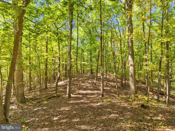 $3,500,000 | 9533 Howellsville Road, Boyce, VA 22620